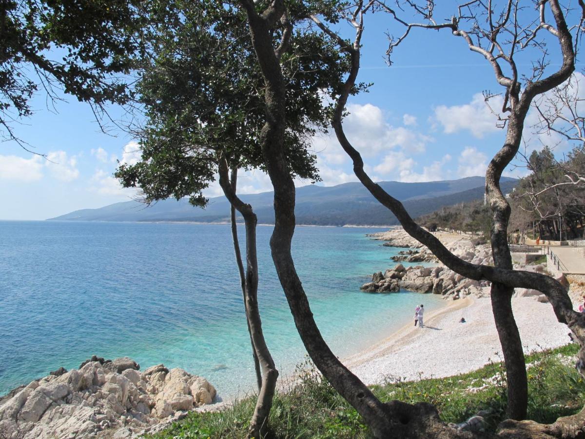 Apartment Katarina - Rac173 Rabac Zewnętrze zdjęcie
